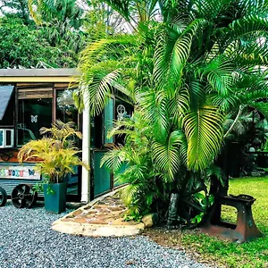 Butterfly Guest house